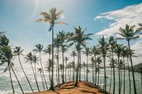 Coconut Tree Hill in Mirissa, Sri Lanka, Südasien