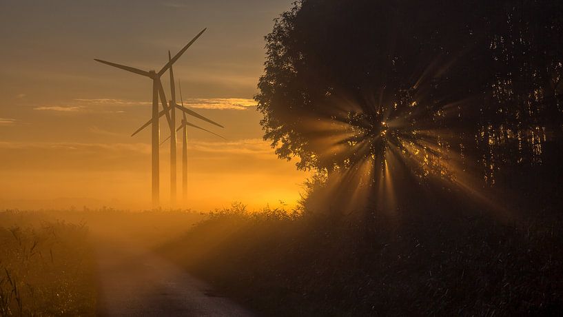 Zonsopkomst op een mistige oktober ochtend par Bram van Broekhoven