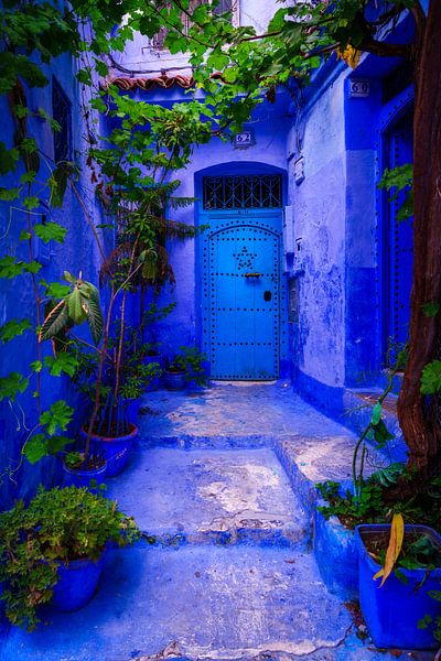 Beautiful blue city in Morocco by Roy Poots