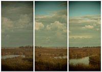 lauwersmeer triptych 2