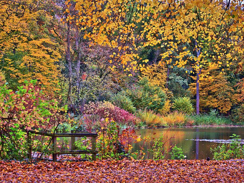 Autumn in the castle park 2 by Edgar Schermaul