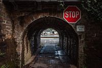 Halten Sie an und genießen Sie die fantastische Aussicht auf die Mosel