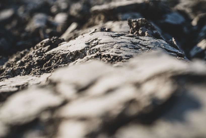 Argile labourée sur la terre par Fotografiecor .nl