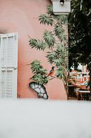 Straßenkunst im Zentrum von Otrobanda, Willemstad (Curaçao)