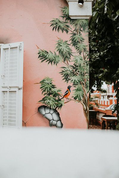 Street art in the center of Otrobanda, Willemstad (Curaçao) by Trix Leeflang