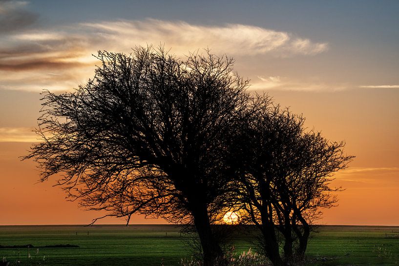 Zonsondergang aan het IJsselmeer par Harrie Muis