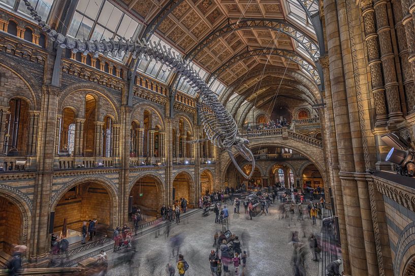 Natural History Museum London by Rene Ladenius Digital Art