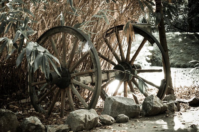 Karrewiel by Kaatje Fotografie