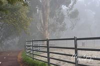 Brug in onbekende mist