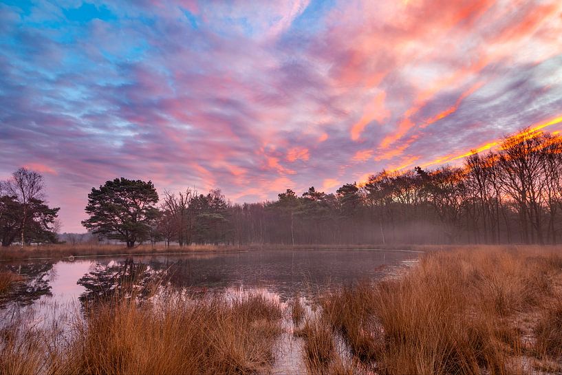 Bunter Sonnenaufgang über nebligem Wasser von Karla Leeftink