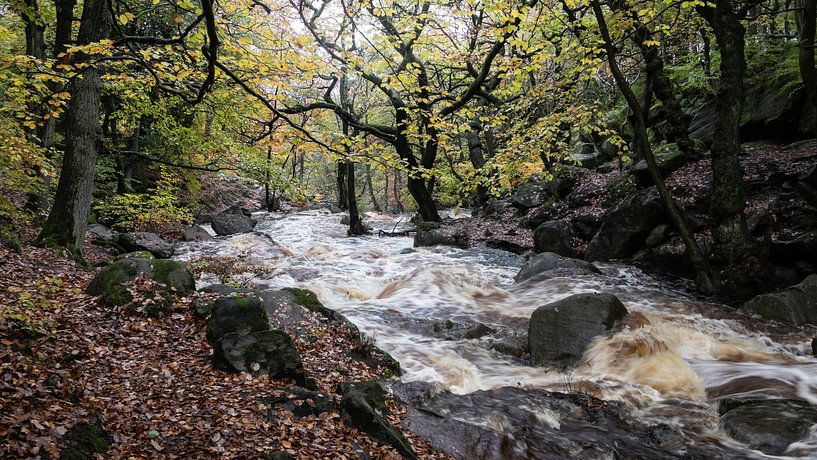 Padley-Schlucht Herbstlandschaft, England von Imladris Images