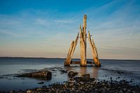 Tête d'aigle Grevelingen - Zélande