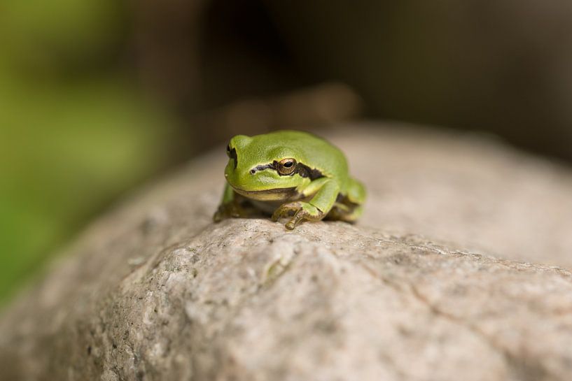 What's up? by Be-eR fotografeert