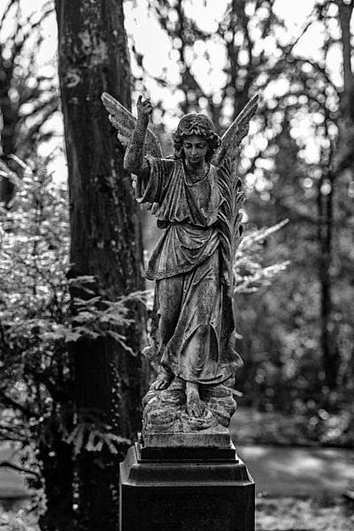 Accompagnement silencieux par Thomas Riess