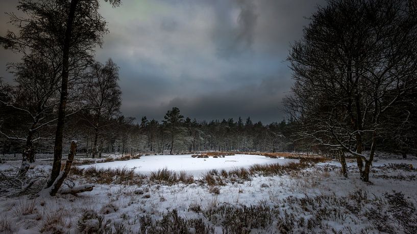 Winter op de Renderklippen par Jenco van Zalk