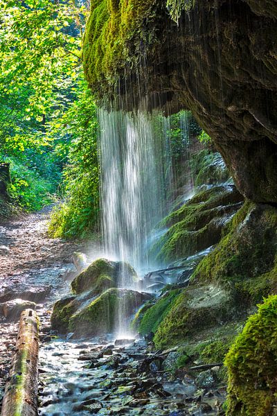 cascade de mousse par Jürgen Wiesler