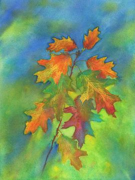 Zweig mit bunten Eichenblättern von Karen Kaspar