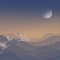 Japanese cranes - The land of the rising sun