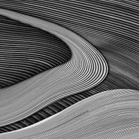 Das Holzprojekt III - Zen-Garten