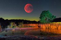 Roter Mond über Heide Landschaft