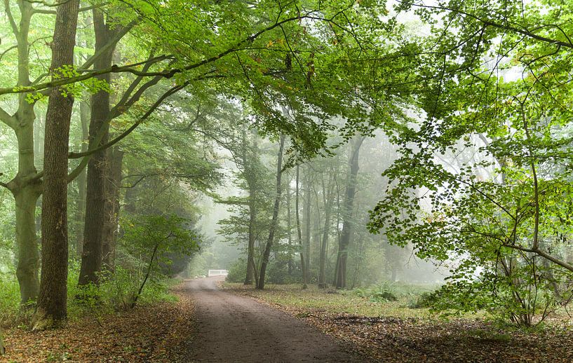 Avenue à New Amelisweerd par Marijke van Eijkeren