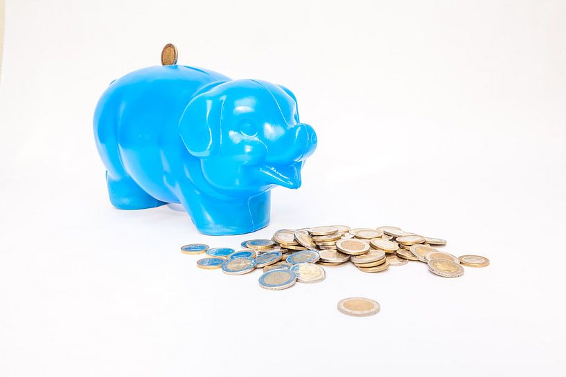 een spaarvarken par Marcel Derweduwen