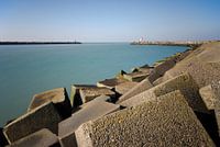 Havenhoofd Scheveningen