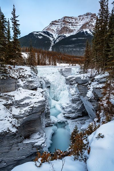 Athabasca falls by Luc Buthker
