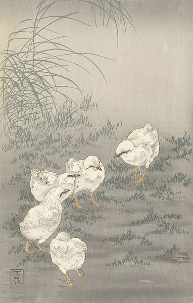 Fünf Küken von Ohara Koson von Gave Meesters