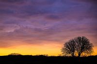 "Watching Sunsets Forever, Tangled Together"