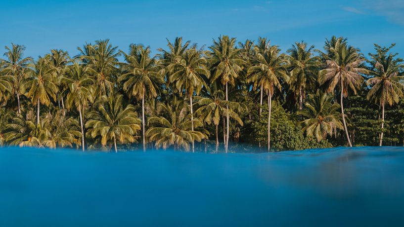 Tropische Insel von Andy Troy