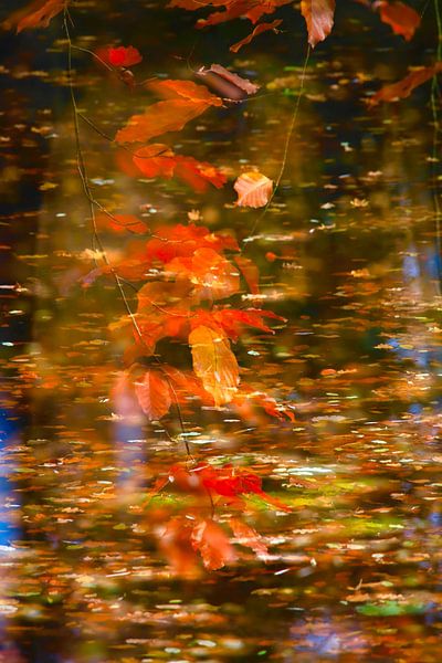 Golden October by Thomas Jäger