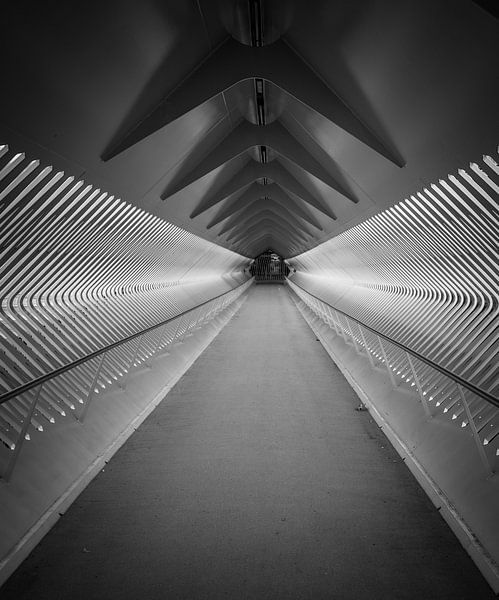 Cruise Terminal van Erik Remans