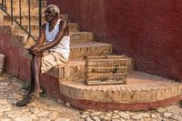 Vogelman in Trinidad