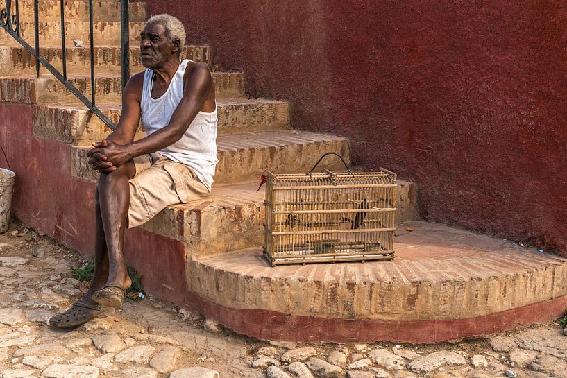 Vogelman in Trinidad par Frank Laurens