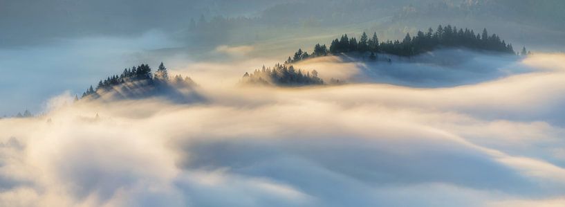 Pieniny-Gebirge von Wojciech Kruczynski
