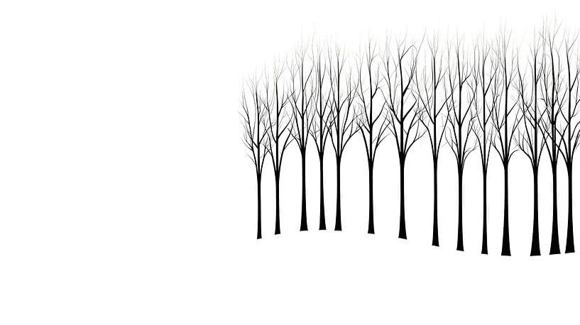 Stille Baumreihe von Frank Heinz