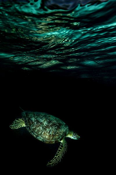 In die Nacht hinein von Serge Melesan