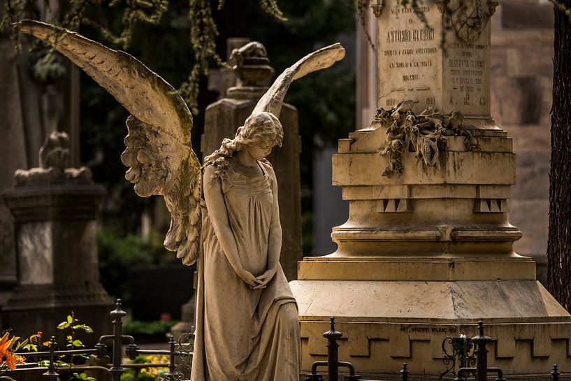 Rust en Reflectie van Nederlandschap