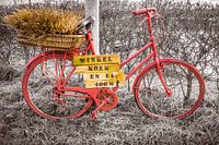 Bicycle red
