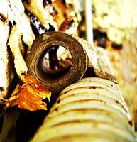 Decayed Toilet Paper