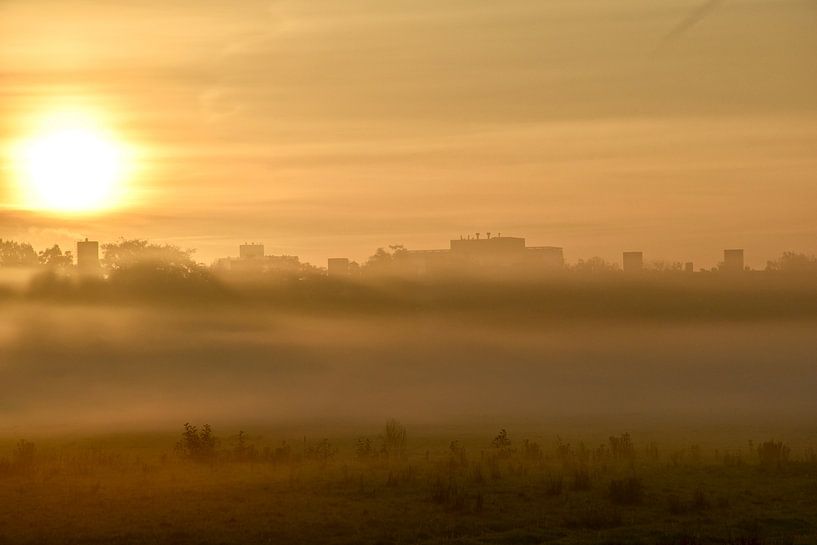 La beauté naturelle dans le brouillard par Jan Radstake