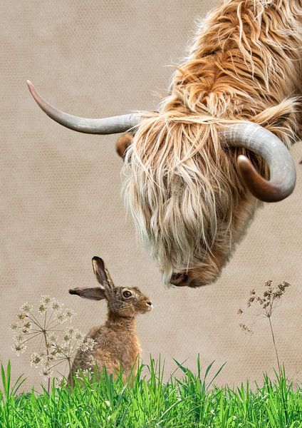 Schottischer Highlander und Hase von Postergirls