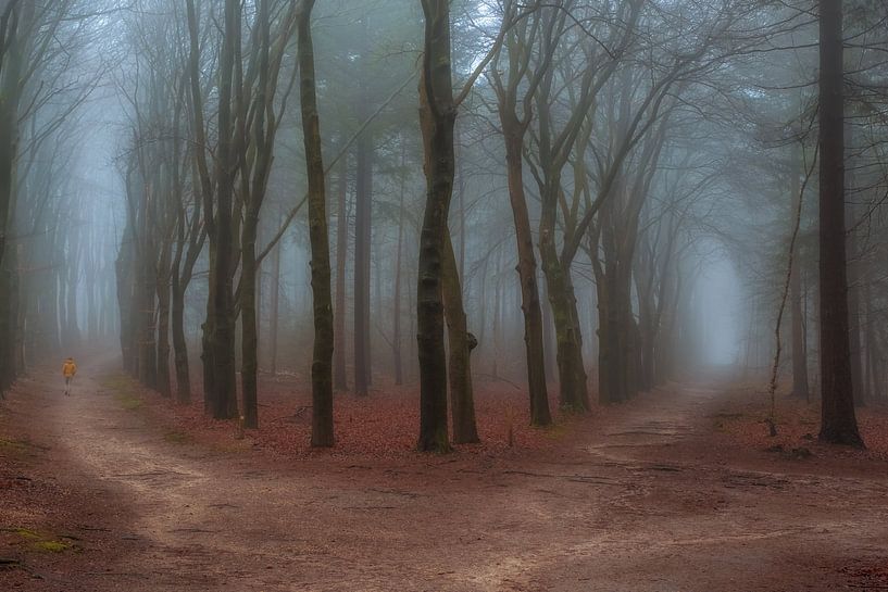 Welchen Weg wählen Sie.......? von Moetwil en van Dijk - Fotografie