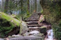 Stone stairs to the unknown