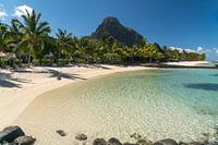 Plage de rêve à l'île Maurice