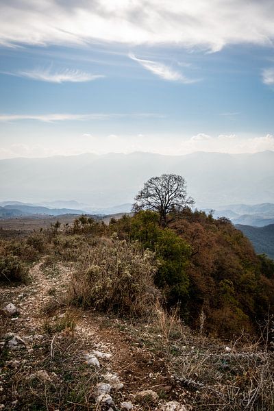 Un étroit chemin d'aventure par Ellis Peeters