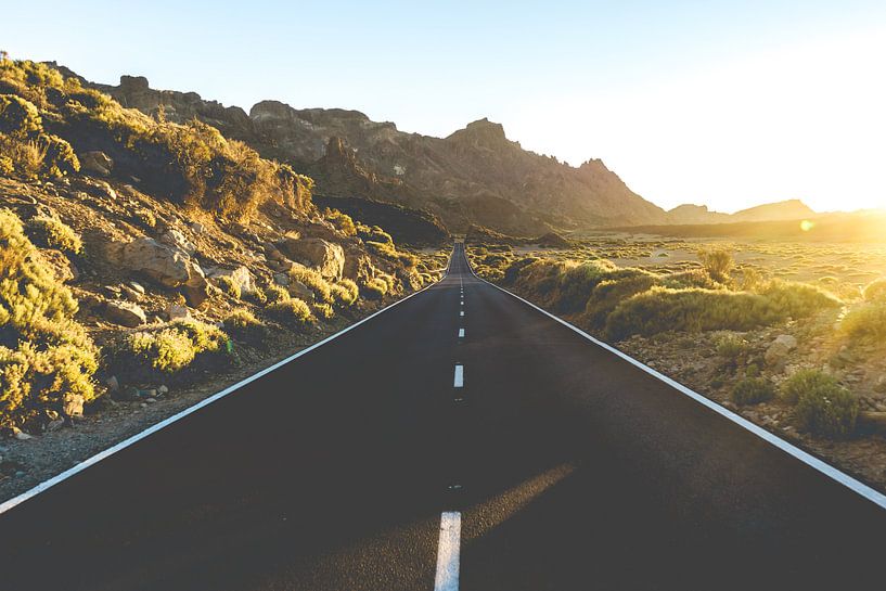 Road Trip by Dimitri van Beerschoten