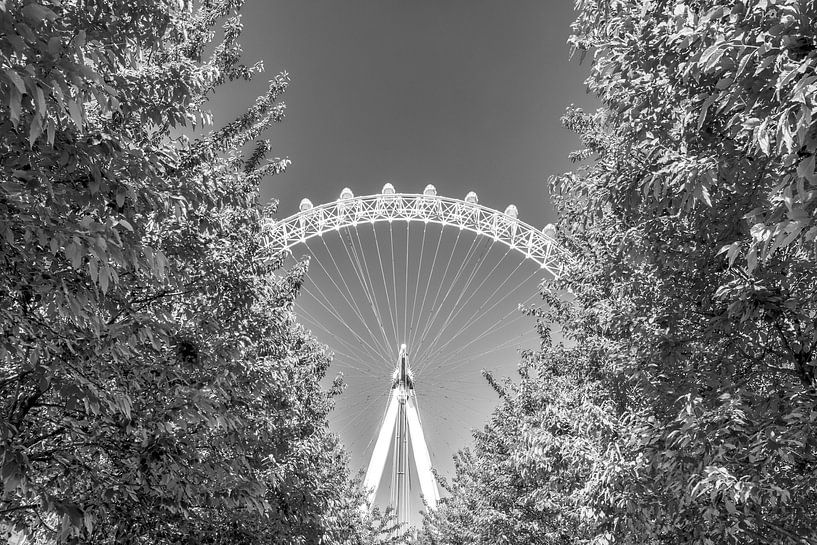 Going Round  par Ruud van Ravenswaaij