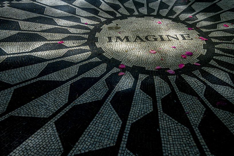 Stellen Sie sich vor: von Ton van den Boogaard